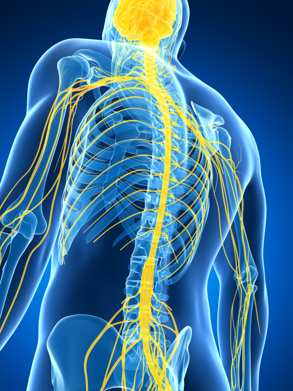 Post Herpetic Neuralgia | Comprehensive Pain Management Center