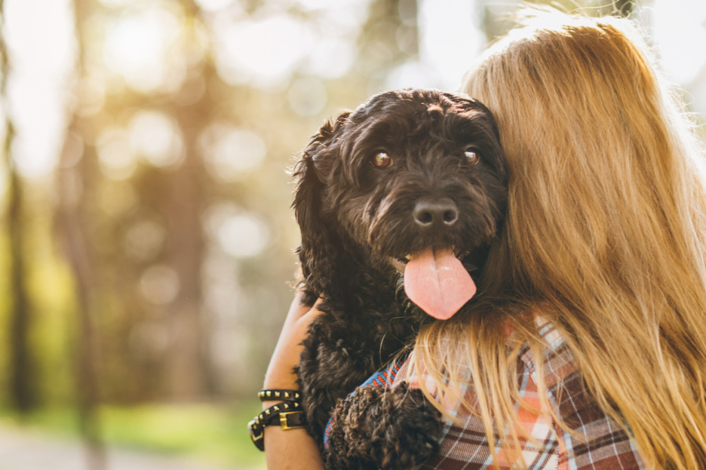 Woman holding dog for chronic pain | Comprehensive Pain Management Center